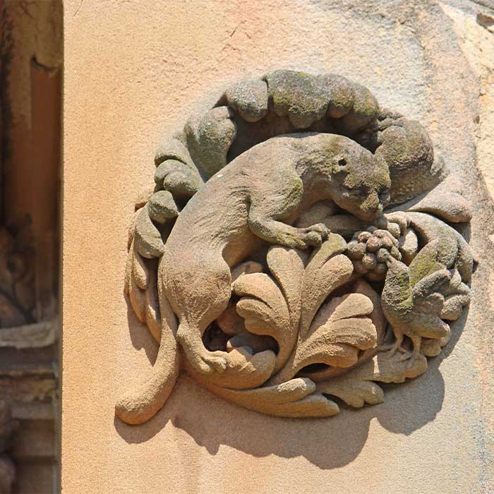 Untersuchung Detail